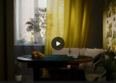 Материалы по мошенничеству